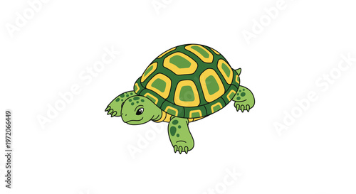 Cartoon illustration of a green turtle with a patterned shell