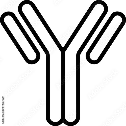 Antibody protein molecular structure.