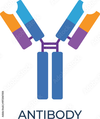 Antibody Molecular Structure Illustration.