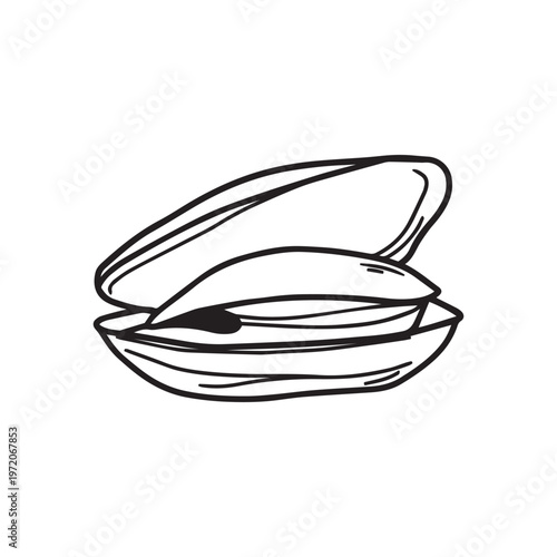 Black and white line drawing of an open mussel shell with the bivalve mollusk inside, illustrating seafood or marine life.