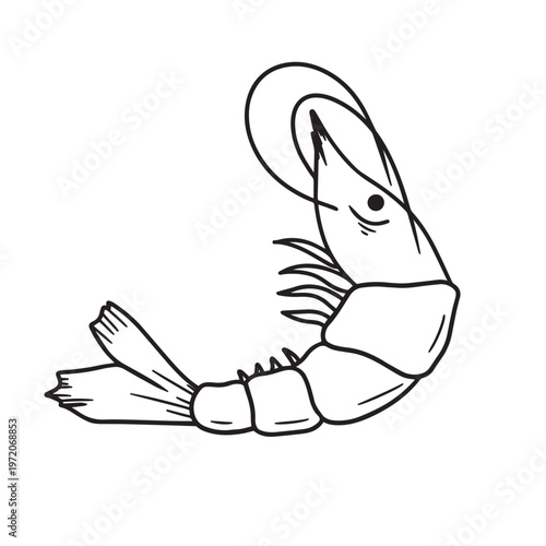 Simple black and white line art drawing of a single shrimp or prawn, curled in a C-shape, isolated on a white background.