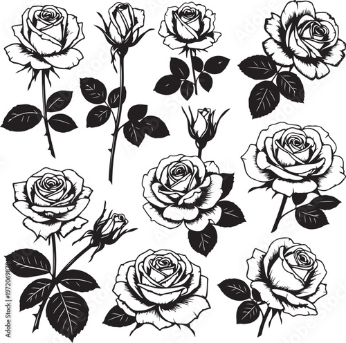 Silhouette lush rose flowers set