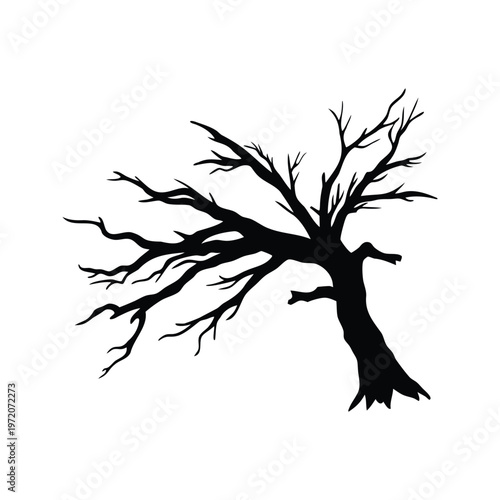 Silhouette of a bare tree with intricate branches, elegant vector illustration, dead willow branch silhouette vector illustration