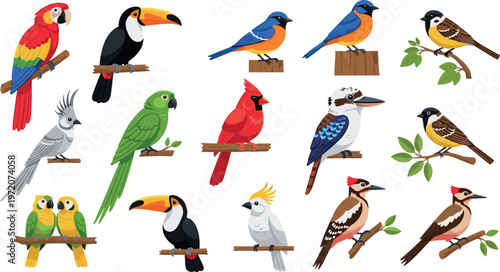 Vibrant Parrot and Bird Illustration Set with Toucan, Parakeet, Cardinal, Woodpecker, and More in Flat Vector Design