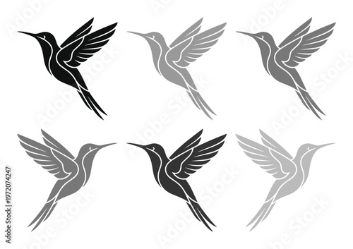 優雅に羽ばたくハチドリのシルエット、黒とグレーのグラデーションで表現された美しい鳥のベクターイラストセット、ロゴやデザイン素材に最適