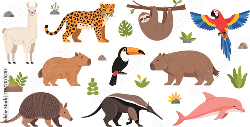 South American Wildlife Animal Illustration Set with Llama Jaguar Sloth Toucan Capybara Dolphin and Exotic Jungle Creatures Collection