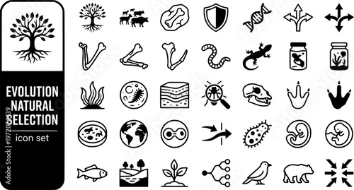 Evolution Natural Selection Bold Line Icons-Darwin Tree Fossil Mutation Speciation Homologous Vestigial Camouflage Genetic Drift-20 Evolution Icon Set Vector - Natural Selection Icons