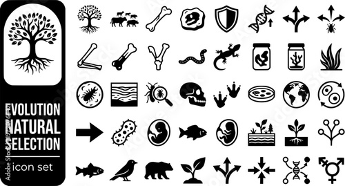 Evolution Natural Selection Bold Line Icons-Darwin Tree Fossil Mutation Speciation Homologous Vestigial Camouflage Genetic Drift-20 Evolution Icon Set Vector - Natural Selection Icons
