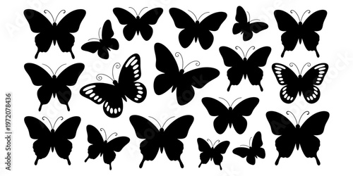 A collection of various butterfly silhouettes arranged in a random pattern on a white background Vector, illustration