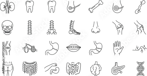 Human body medical anatomy icon set with skeleton bones teeth joints organs digestive system pancreas DNA healthcare symbols collection