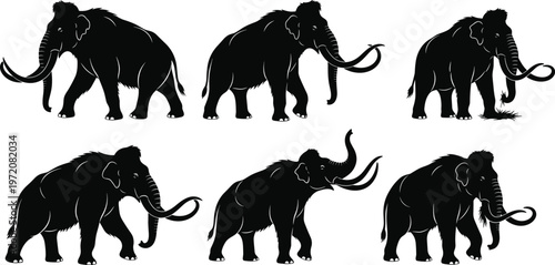 Collection of prehistoric woolly mammoth silhouettes featuring extinct elephant species with large tusks and shaggy hair in various walking and standing poses for history and nature concepts.