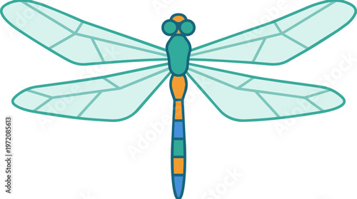 Colorful dragonfly with wings.