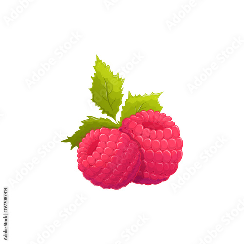 Raspberries with green leaves placed on a white background showing bright red fruit. Two bright red raspberries