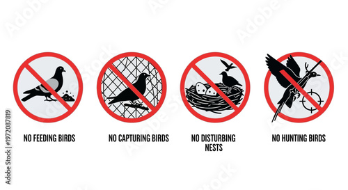 Bird Protection Signs: No Feeding, Capturing, Disturbing Nests, or Hunting