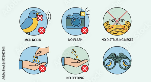 Bird Watching Rules: No Disturbing Nests, No Feeding, No Flash, No Noise