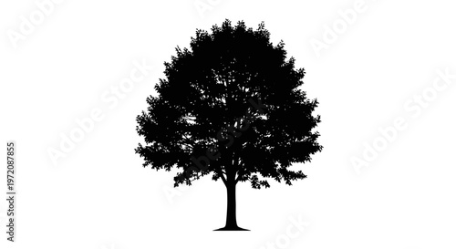 Black silhouette of a deciduous tree with lush foliage against a white background
