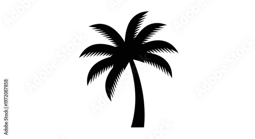 Black silhouette of a palm tree on a white background