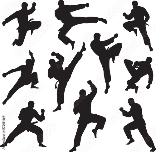 Dynamic silhouettes of martial arts techniques and stances in action