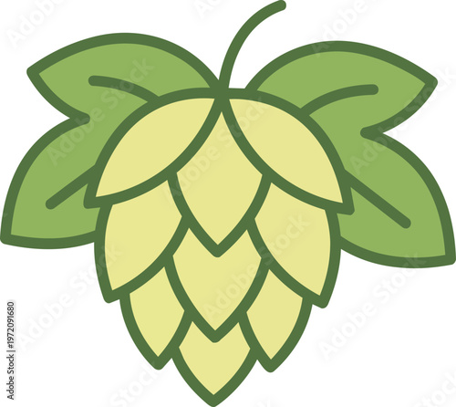 Hops Plant Green Leaves.