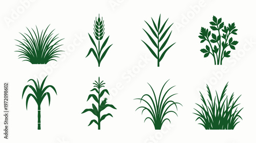 Plant icons collection showing wheat corn cattails sugarcane grass leafy herb vegetation silhouette illustration botanical concept