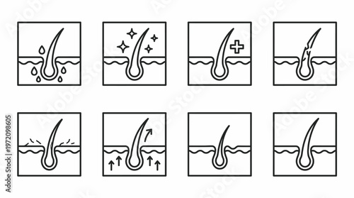 Hair follicle icons collection showing scalp health hydration shine treatment growth damage stimulation strengthening revitalization illustration concept