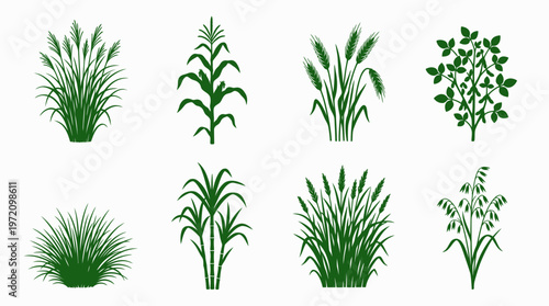 Plant icons collection showing wheat corn cattails sugarcane grass leafy herb vegetation silhouette illustration botanical concept