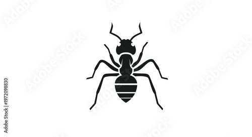 Black ant silhouette, isolated on white background, top view