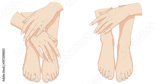 Close-up of elegant female hands and bare feet, isolated on white background.