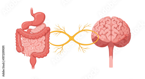 A detailed medical illustration depicts the complex gut-brain axis connection with a golden infinity symbol linking the human digestive tract and the brain.