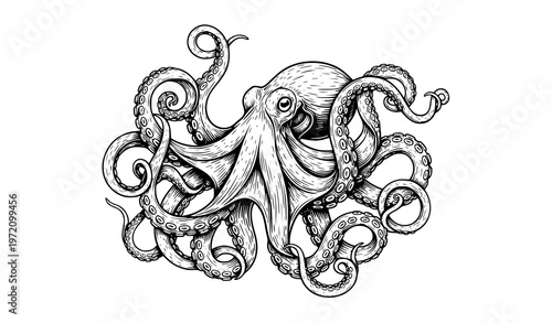 Classic engraved octopus vector illustration for vintage marine logos, labels, and emblems on white background
