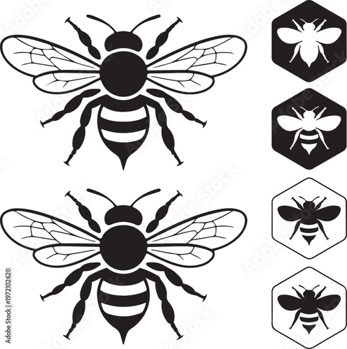 Black and white illustrations of bees and wasps in various views and symbols