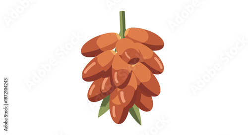 Vector orange dates cluster, date palm fruits, green leaves, brown oval shapes, food icon