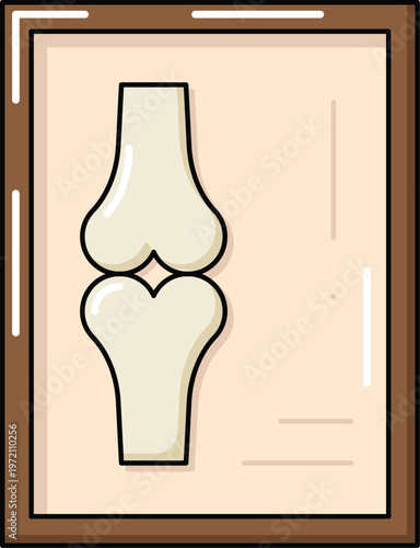 Design Joint X-ray Illustration Flat Icon