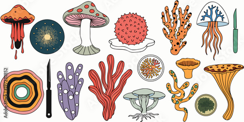 Colorful illustrations of various fungi and marine life forms on white background