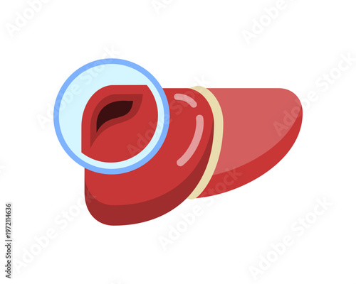 Liver disease medical zoom icon flat vector design
