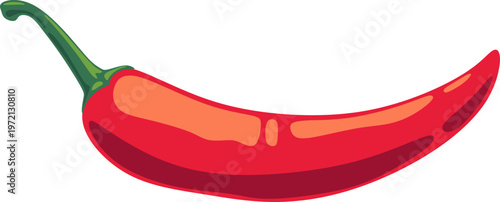 Red Chili Pepper Illustration
