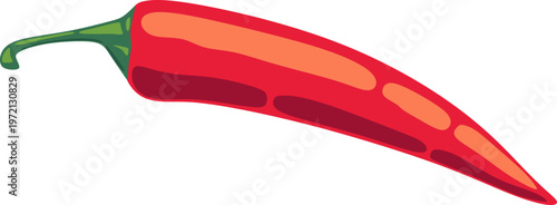 Red Chili Pepper Illustration