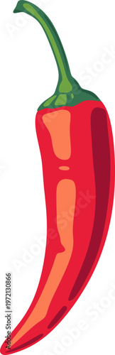 Red Chili Pepper Illustration