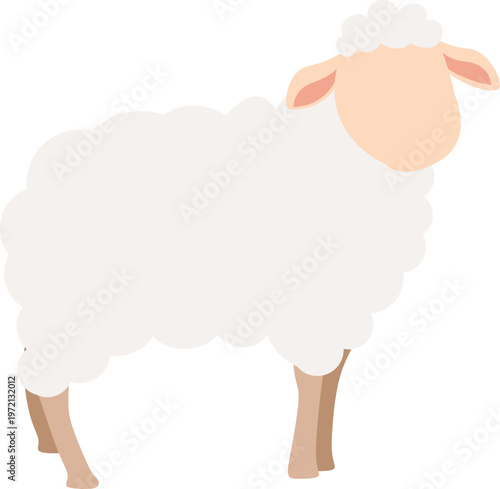 Sheep for Eid Al Adha