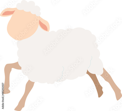 Sheep for Eid Al Adha
