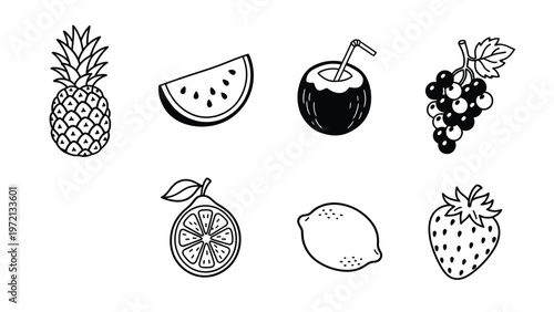 Black and White Fruit Outline Icons Set. Vector illustrations of pineapple, watermelon, coconut, grapes, orange, lemon, strawberry.