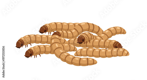 A realistic cluster of tan mealworm larvae with dark brown heads is piled together in the center of a pristine white background with soft shadows and natural lighting.