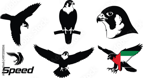 Collection of falcon silhouettes with speed and uae flag graphic with united arab emirates with head profile with bird of prey with animal graphics
