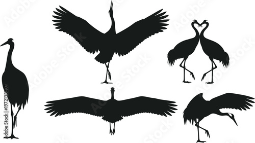 Set of crane silhouettes in various poses, including standing, flying, and courtship display, white background, spread wings