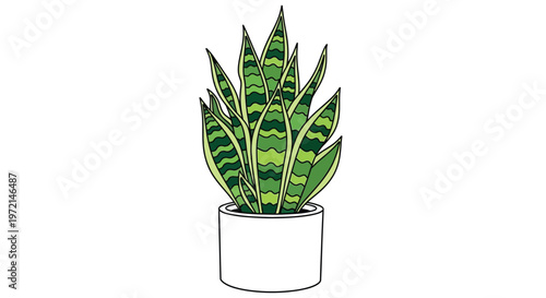 A cartoon illustration of a snake plant in a white ceramic pot
