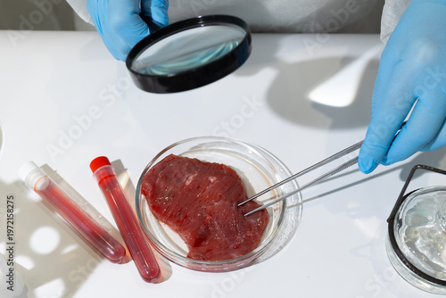 Fotografie Scientist in lab coat examining cultured meat sample in petri dish with magnifying glass and tweezers