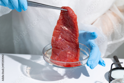 Fotografie Woman scientist lifting lab-grown meat strip with forceps from petri dish