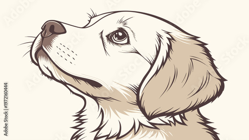 vector illustration of a dog