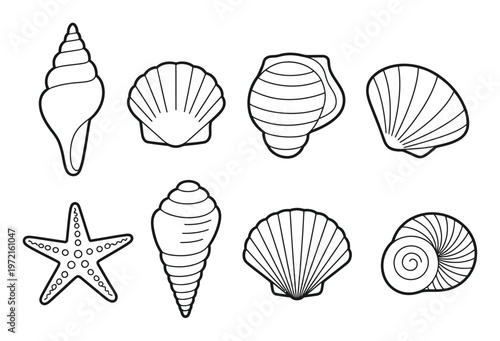 Sea Shells and Starfish Vector Illustration