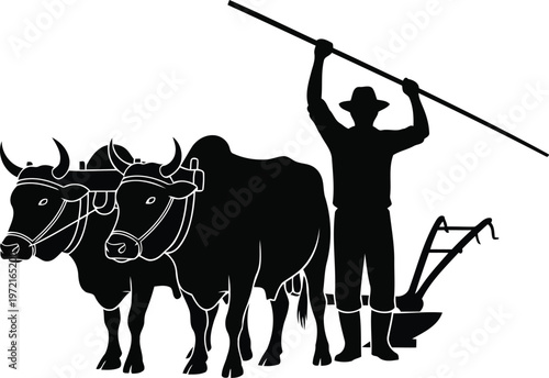Silhouette of a farmer with oxen plowing a field using a traditional farming tool